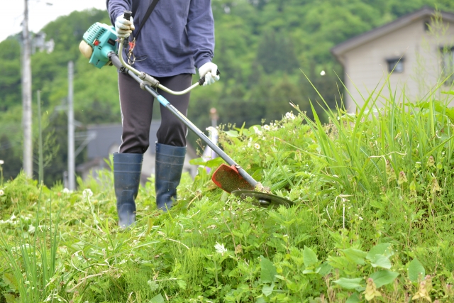 舞鶴市で草刈りに最適な年3回の時期～楽に草刈りを終えるコツまで徹底解説
