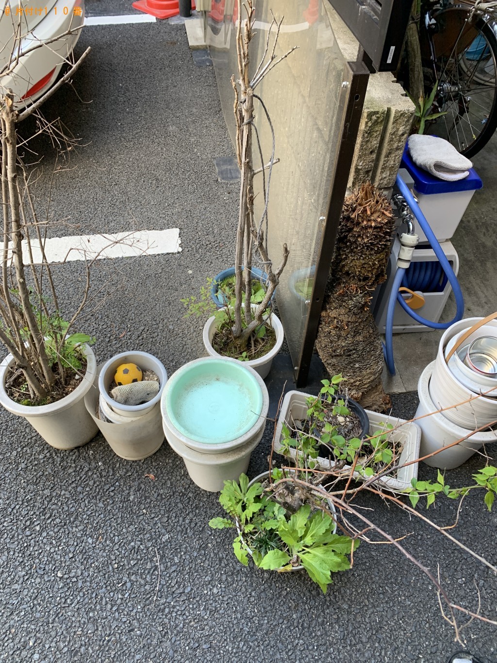 【京都市中京区】植木鉢の回収・処分ご依頼　お客様の声