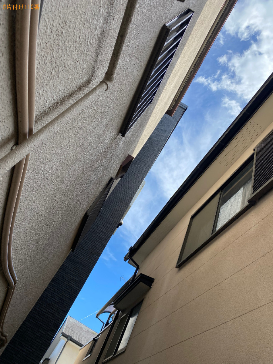 【宇治市伊勢田町】木の剪定作業ご依頼　お客様の声