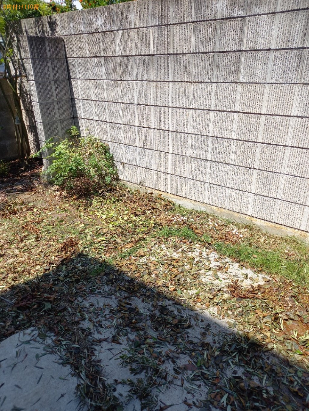 伐採した枝の回収・処分ご依頼　お客様の声